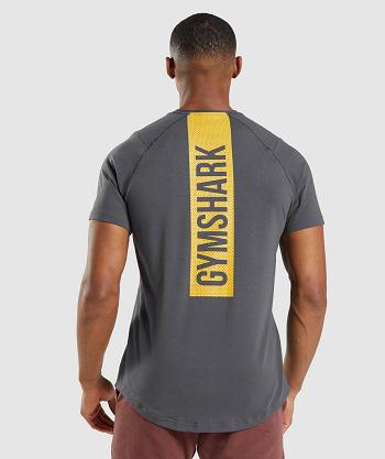 T Shirts Męskie Gymshark Bold Czarne Szare | PL 3864RVD